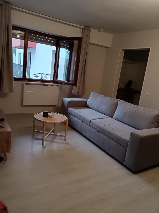 Appartement Cosy A Страсбург Екстер'єр фото